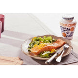 Fabbri Ginger Opaline 600g