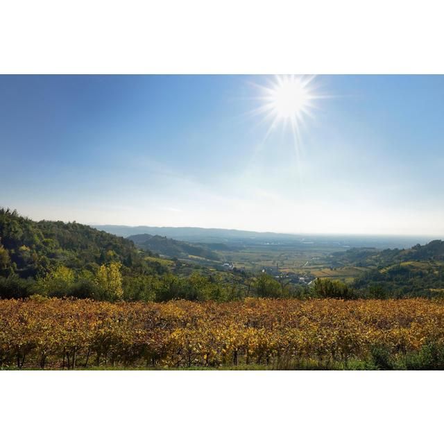 Faldeo Prosecco Rose 75cl