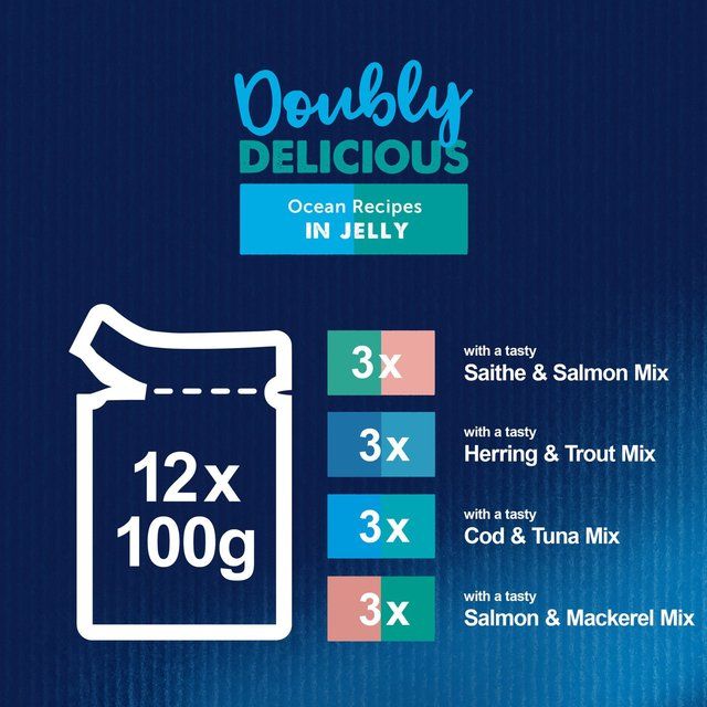 Felix Doubly Delicious Ocean Recipes Wet Cat Food 12 x 100g
