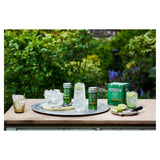 Fever-Tree Light Ginger Beer 4 x 250ml