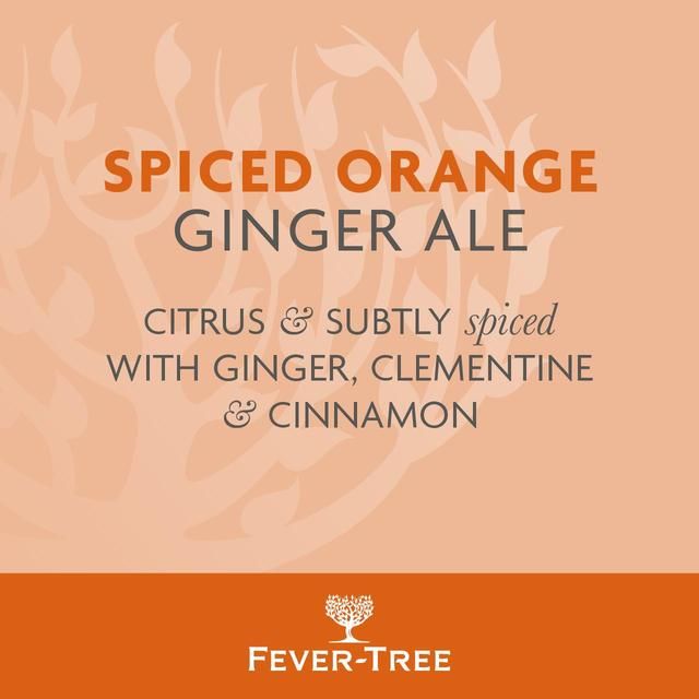 Fever-Tree Light Spiced Orange Ginger Ale 500ml