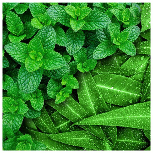 Flash Plastic Free Antibacterial Wipes 30ct 30 per pack