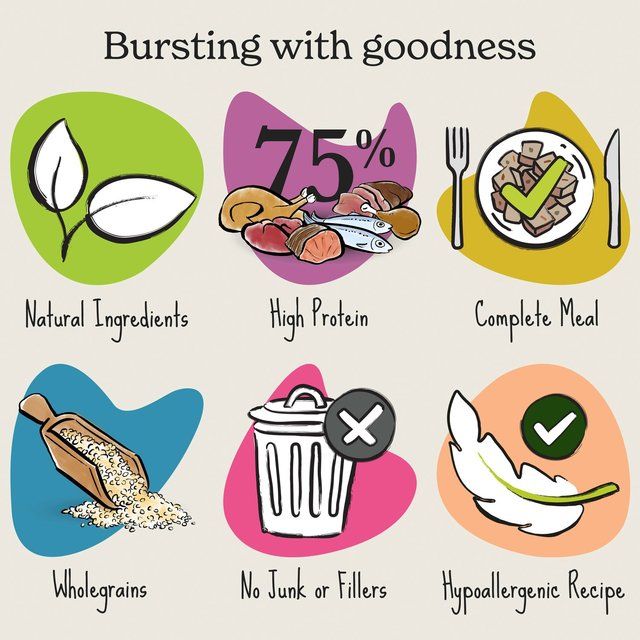 Forthglade Complete Adult Ocean Fish with Brown Rice & Veg    395g