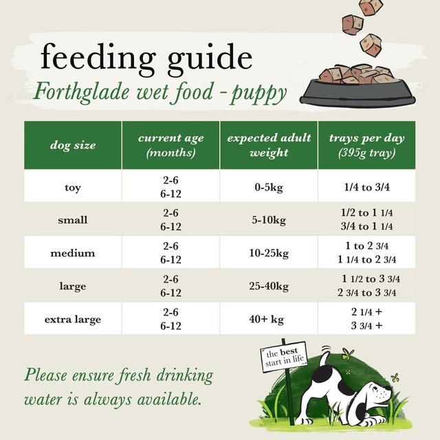 Forthglade Complete Puppy Grain Free Lamb with Liver Sweet Potato & Veg 395g