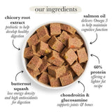 Forthglade Complete Senior Grain Free Lamb with Butternut Squash & Veg 395g