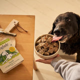 Forthglade Complete Senior Whole Grain Lamb with Brown Rice & Veg   395g