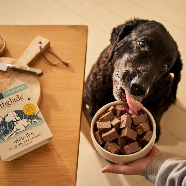 Forthglade Complete Senior Whole Grain White Fish with Brown Rice & Veg   395g