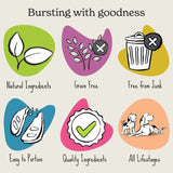 Forthglade Natural Soft Bites Lamb Dog Treats 90g