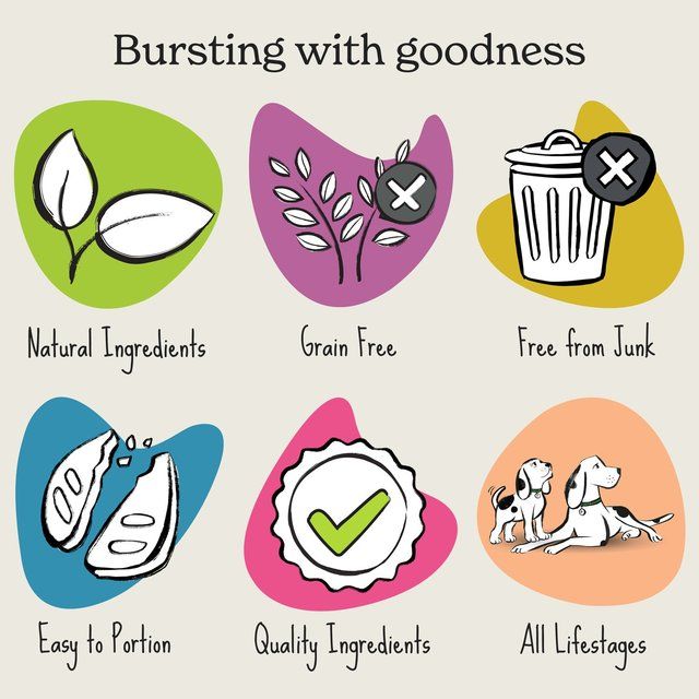 Forthglade Natural Soft Bites Turkey Dog Treats 90g