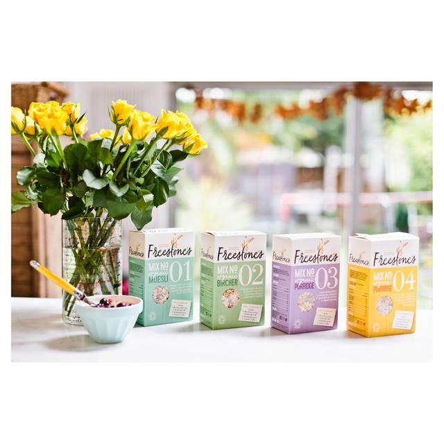 Freestone's Mix 03 Fruity Porridge 500g