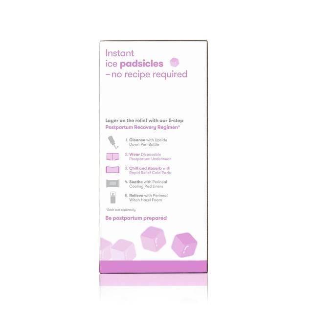 Frida Mom Instant Ice Maxi Pads (8pk + 2 boyshort disposable underwear) 8 per pack