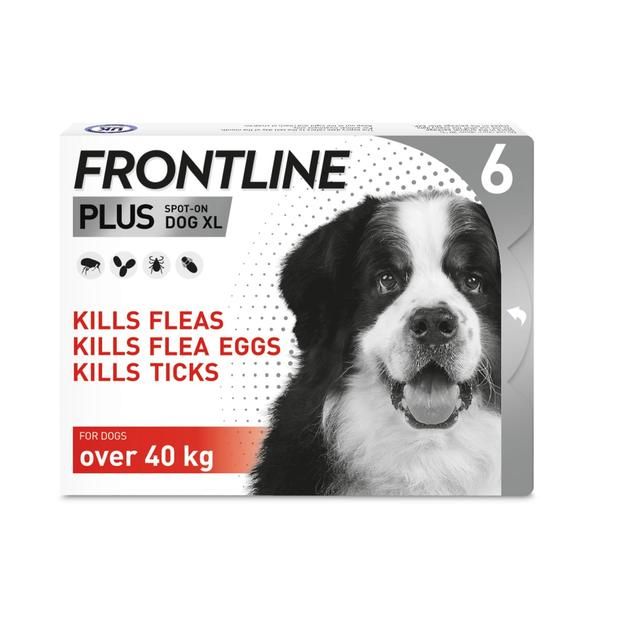 FRONTLINE Plus Flea & Tick Treatment XL Dog 40-60kg 6 per pack