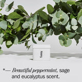 Fussy Refillable Natural Deodorant Wavy Days 40g