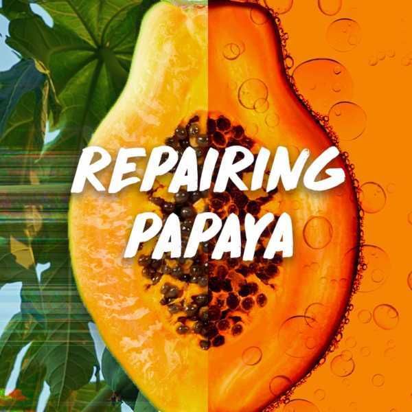 Garnier Ultimate Blends Hair Food Papaya Shampoo 350ml