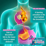 Gaviscon Double Action Tabs Heartburn Indigestion Mint 48 per pack