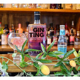 Gin Ting Passionfruit Mango & Elderflower Gin 70cl
