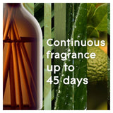 Glade Aromatherapy Reed Diffuser Calm Mind 80ml