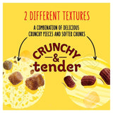 Go-Cat Crunchy & Tender Salmon and Tuna Dry Cat Food 900g