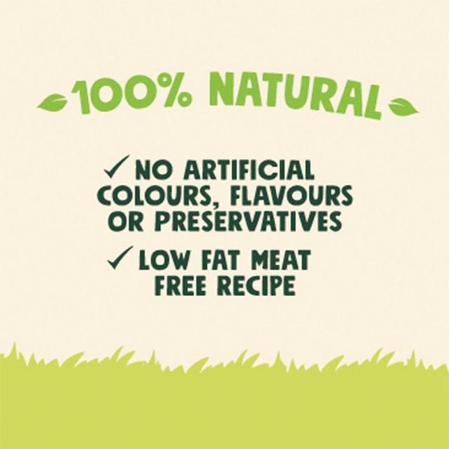 Good Boy Chompers Large Daily Dental Toothbrush Chew Dog Treat