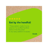 Good4U Salad Super Seeds 150g