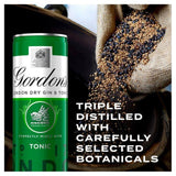 Gordon's Gin & Tonic 10 x 250ml