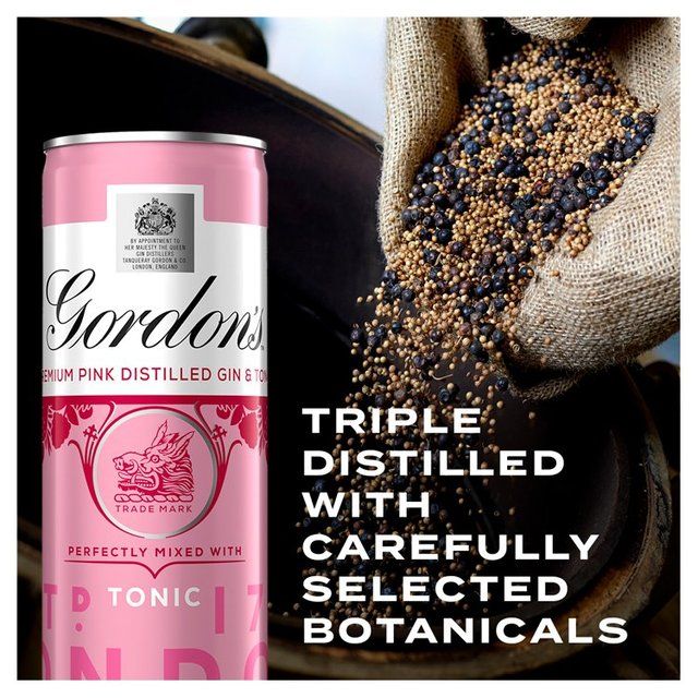 Gordon's Pink Gin & Tonic 10 x 250ml