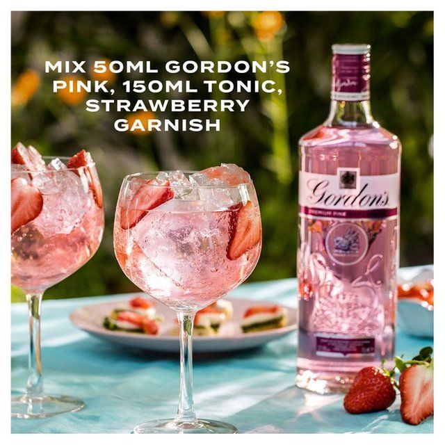 Gordon's Premium Pink Distilled Flavoured Gin 1L
