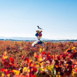 Gran Campo Viejo Cava Brut 75cl