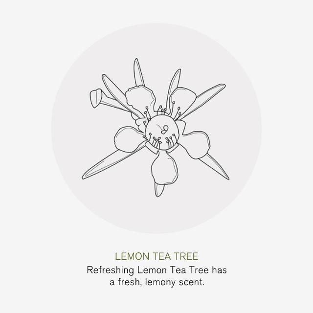 Green People Antibacterial Manuka & Lemon Tea Tree Hand Wash 300ml