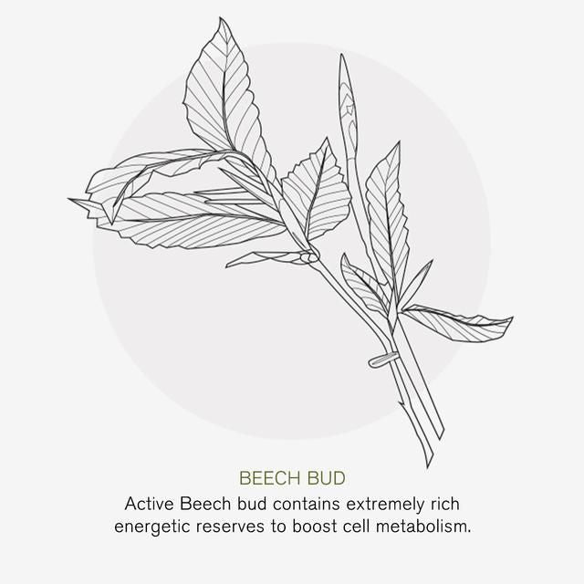 Green People Daily SPF30 Moisturiser Age Defy+ by Cha Vohtz 30ml