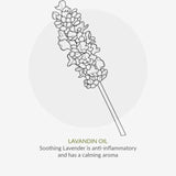 Green People Organic Daily Aloe Conditioner Vegan 200ml