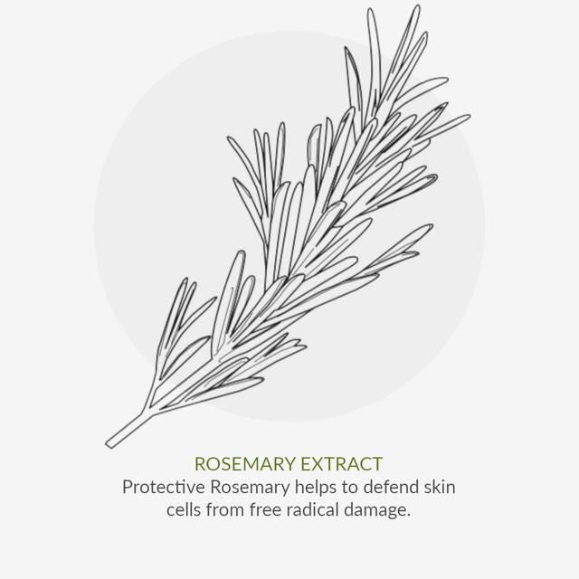 Green People Organic Men's Roll On Deodorant Thyme & Prebiotics Vegan 75ml