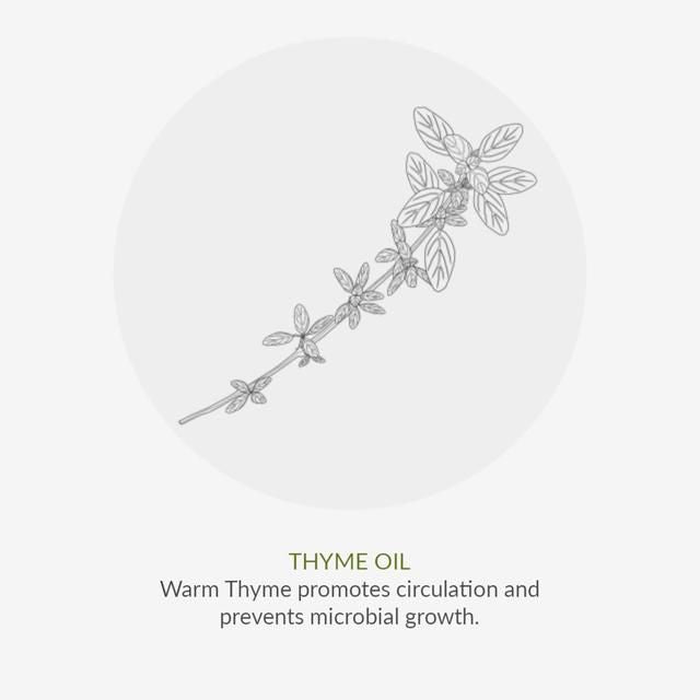 Green People Organic Men's Roll On Deodorant Thyme & Prebiotics Vegan 75ml