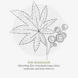 Green People Organic Roll On Deodorant Aloe Vera Vegan 75ml