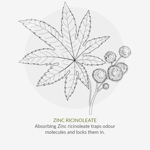 Green People Organic Roll On Deodorant Rosemary Vegan 75ml