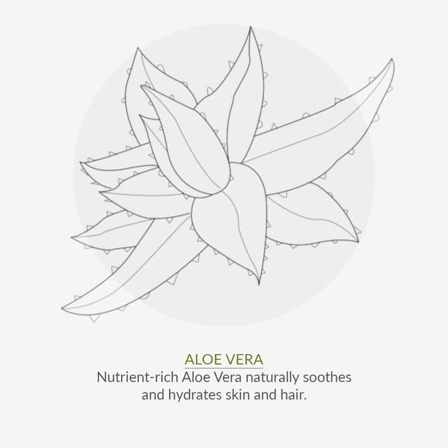 Green People Organic Shampoo Daily Aloe Vera Vegan 200ml