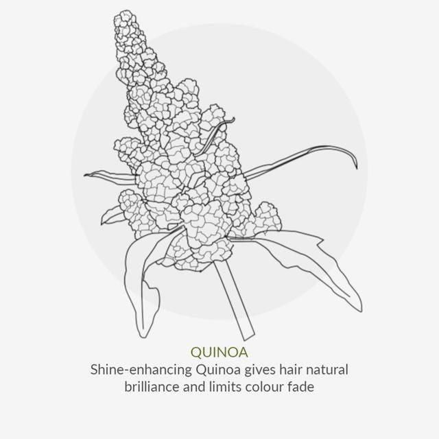 Green People Organic Shampoo Intensive Repair Vegan 200ml