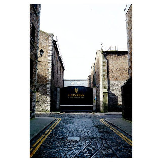 Guinness Original Stout Beer   500ml