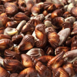 Guylian Seashells 500g