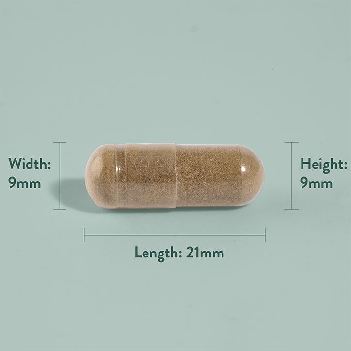 H&B Expert Good Day 60 Capsules