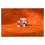 Haagen-Dazs Caramel Collection Mini Cups Ice Cream 4 x 95ml