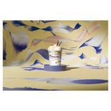 Haagen-Dazs Vanilla Ice Cream 460ml