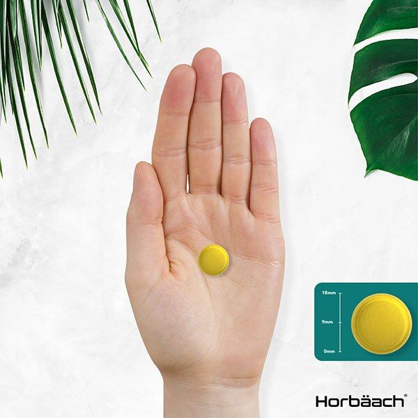 Happy Gut Gummies Are Packed With Friendly Bacteria