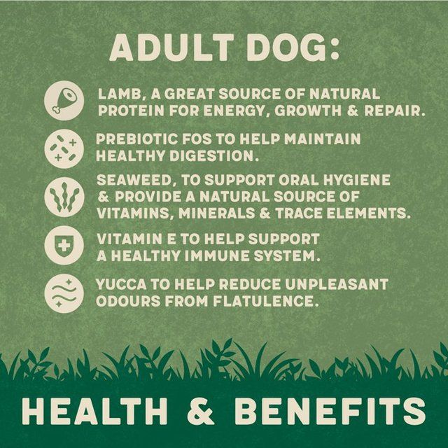 Harringtons Complete Lamb & Rice Dry Dog Food 12kg