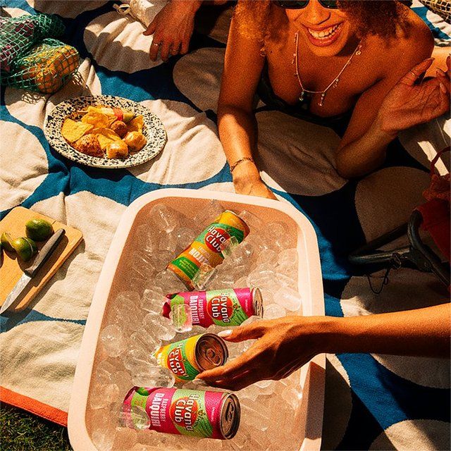 Havana Club Raspberry Daiquiri Cocktail 25cl