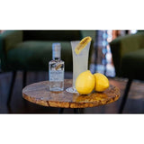 Haymans Small Gin 20cl