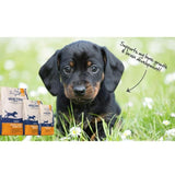 Healthy Paws British Turkey & Brown Rice Puppy Dog Food 12kg