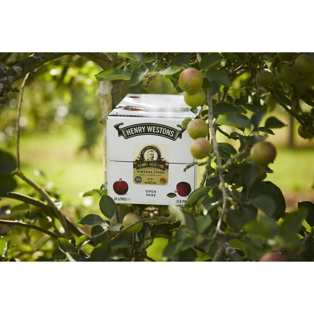 Henry Westons Vintage Bag in Box 10L