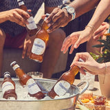 Hoegaarden Belgian Wheat Beer   750ml