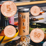 HOLOS Kombucha Soda Ginger & Turmeric 250ml